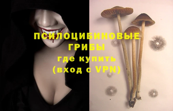 стаф Горно-Алтайск