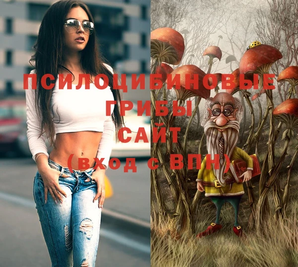 а пвп мука Горняк